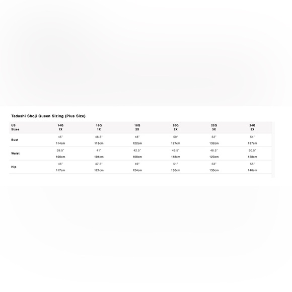 Tadashi Shoji Rasha Embroidered Illusion Gown Dr XXL NWT - Picture 4 of 4